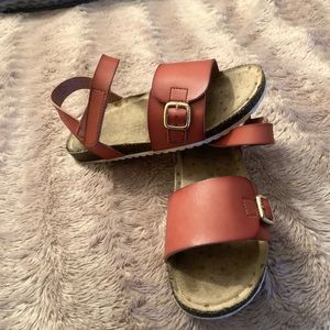 Cat and Jack Sandals Size 12